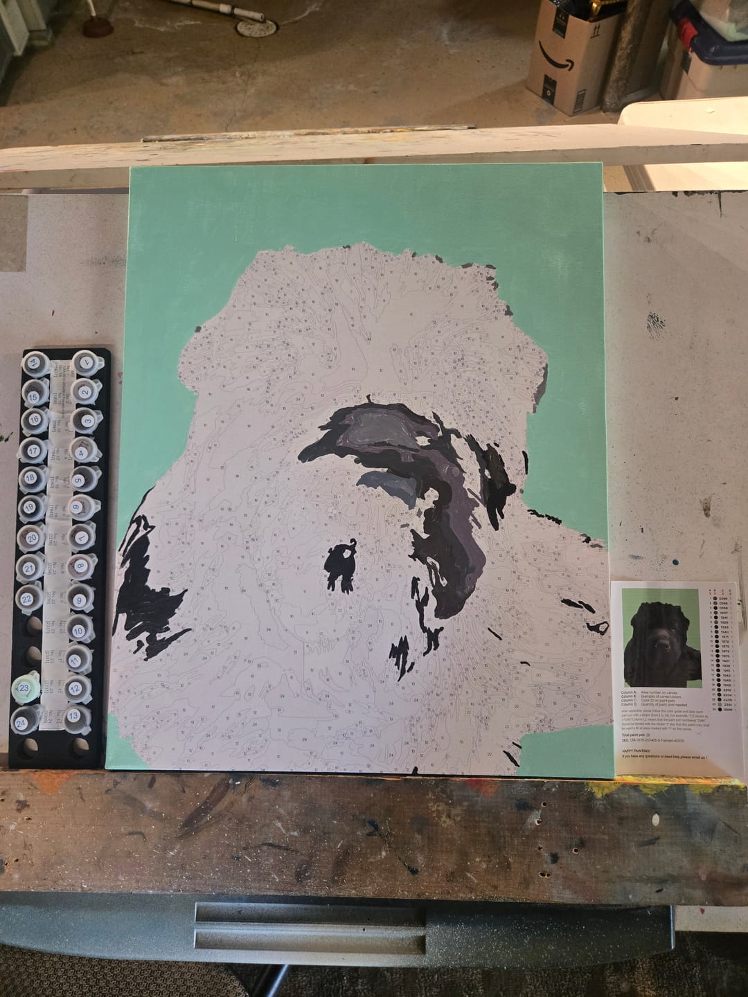 Customer photo review of Custom Paint By Numbers Kit