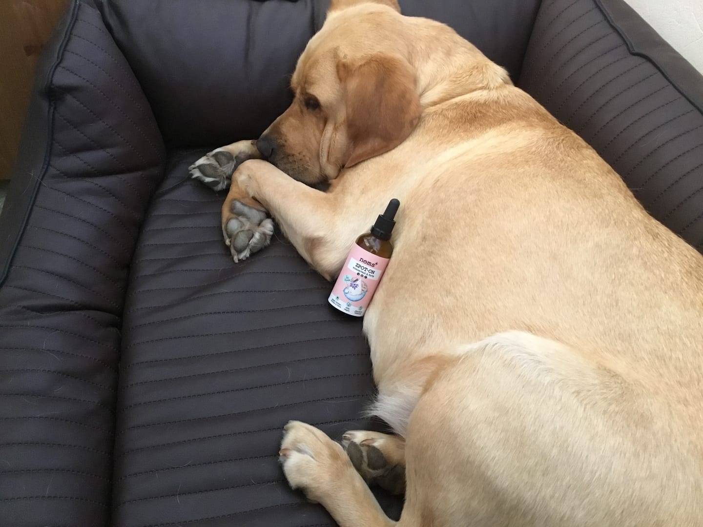 Customer photo review of Zpot-on für Hunde