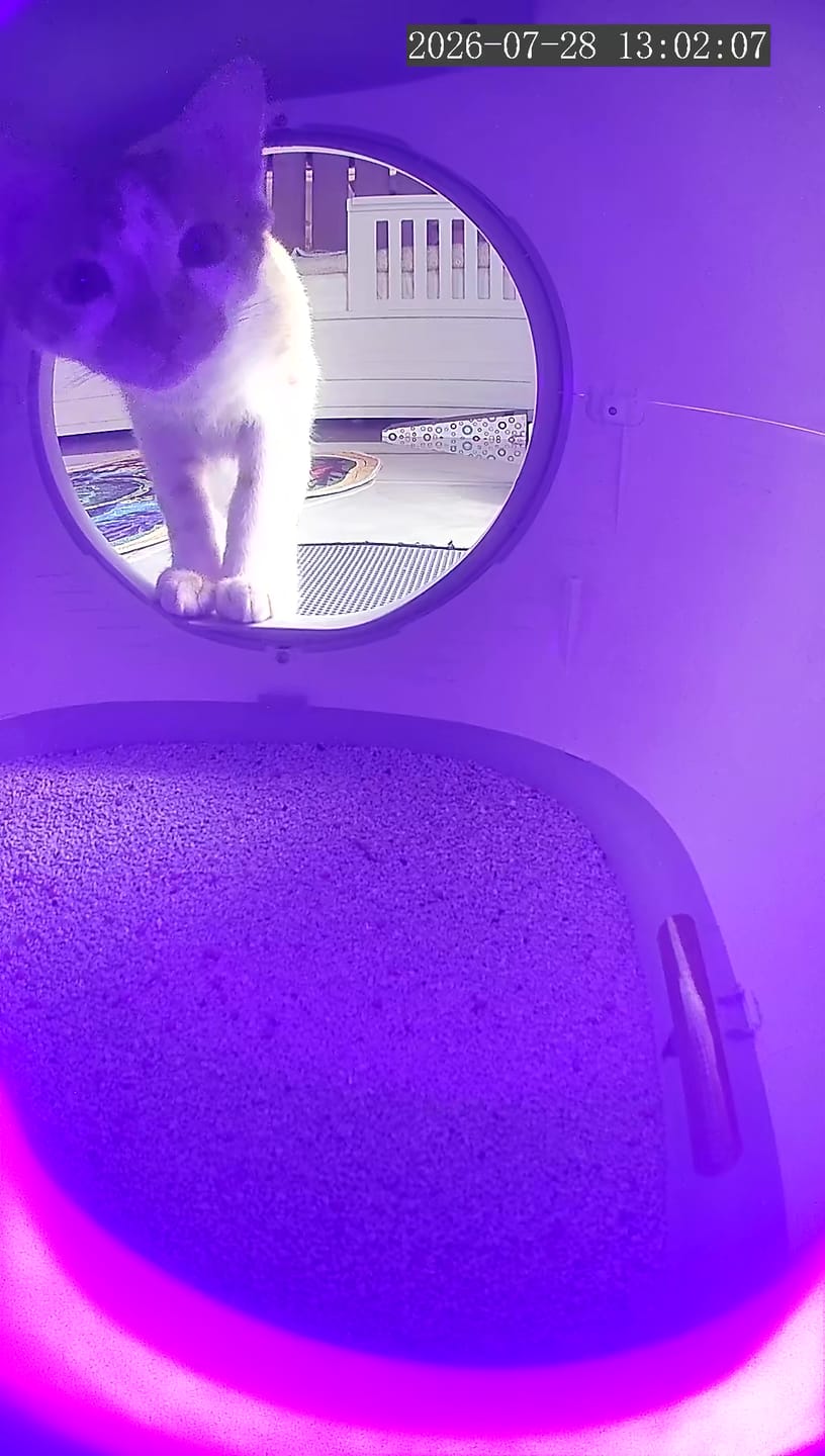 Customer photo review of Otomatik Kedi Tuvaleti (Kameralı) | 72 Lt, 1080p, Mobil Kontrol, Wifi, Akıllı Kedi Tuvaleti (X8623)