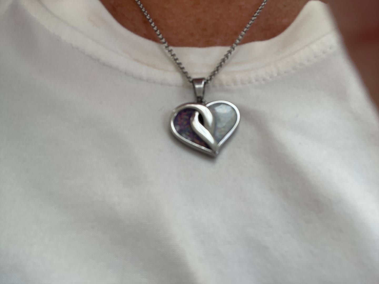 Customer photo review of Crossover Heart Stainless Steel Pendant, suitable for 2 sets of ashes.
