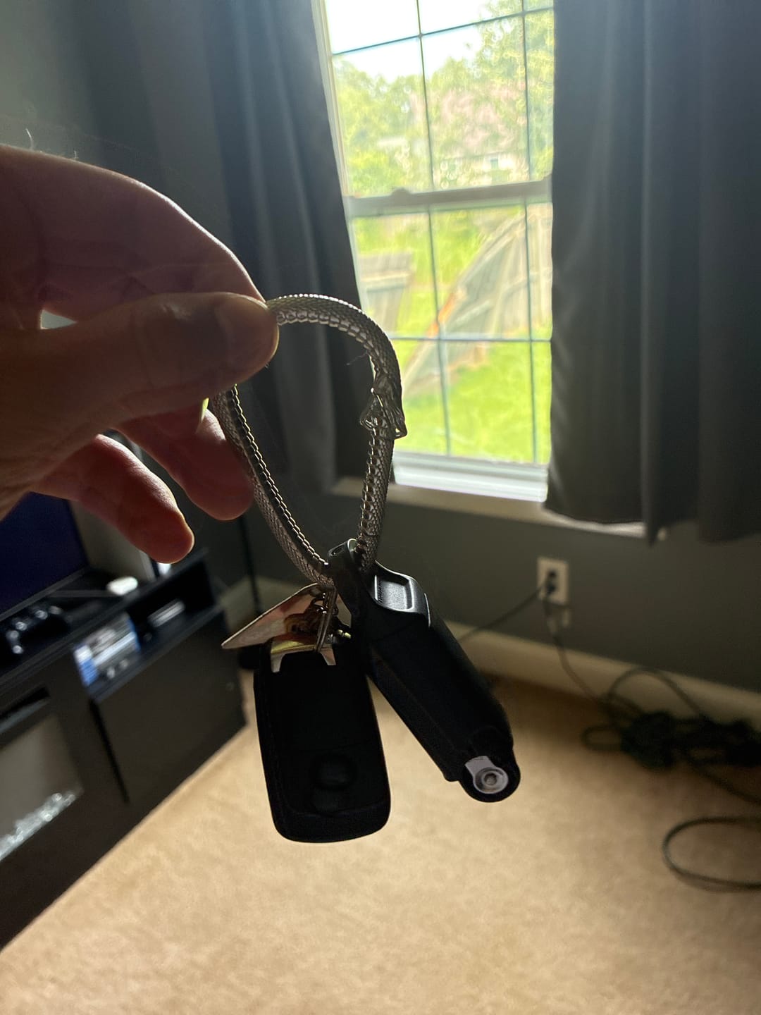Customer photo review of OUROBOROS CARABINER