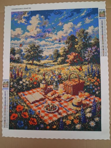 Customer photo review of Spring Meadow Wildflower Picnic (Diamond Painting)