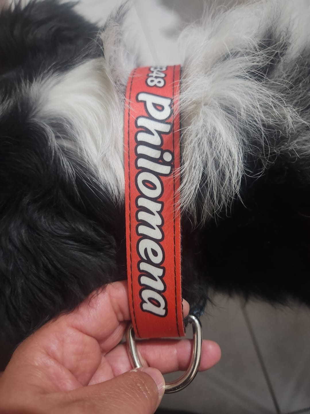 Customer photo review of Collar personalizado: Liso