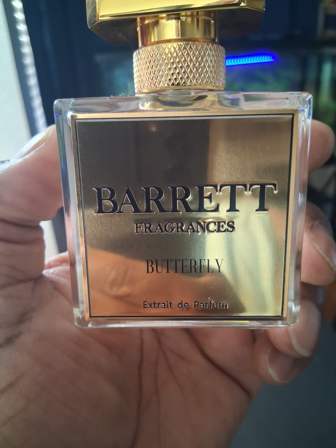Customer photo review of Butterfly inspired by Route du The