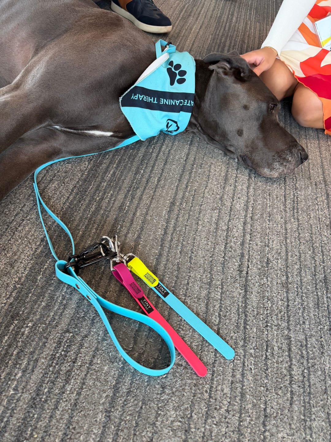 Customer photo review of Handler Pro