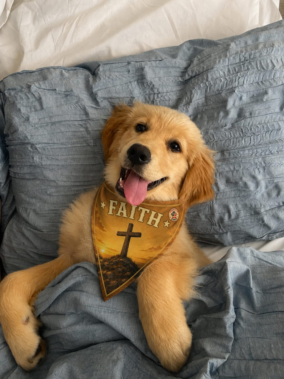 Customer photo review of Freedom Collection Dog Bandanas