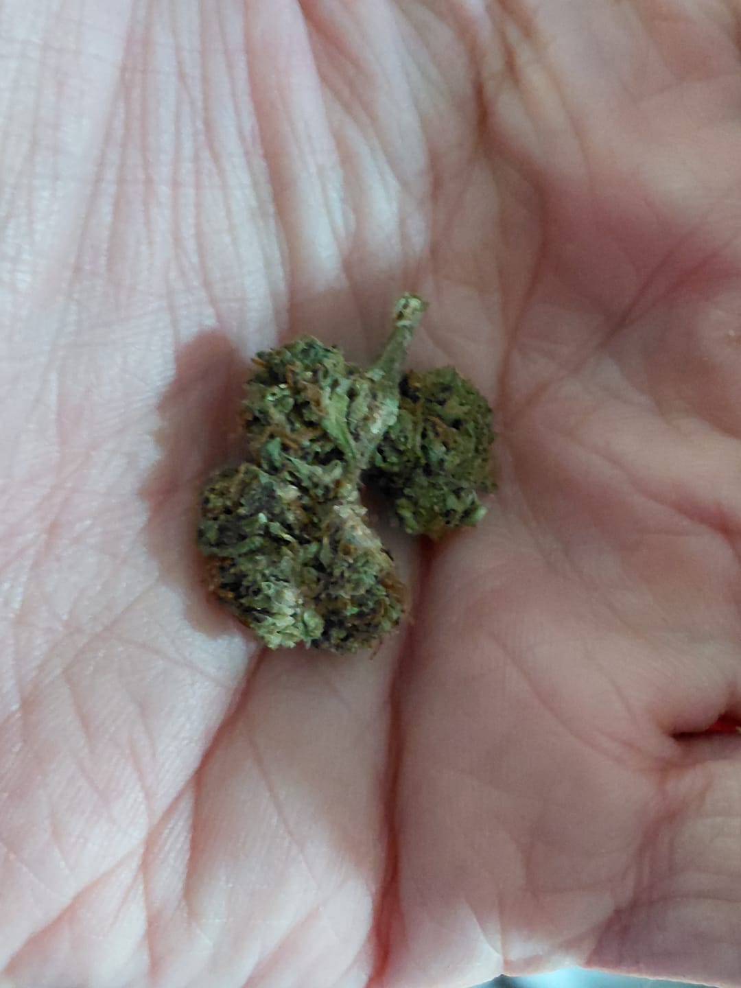Customer photo review of Hashburger - 28 Grams - Indica
