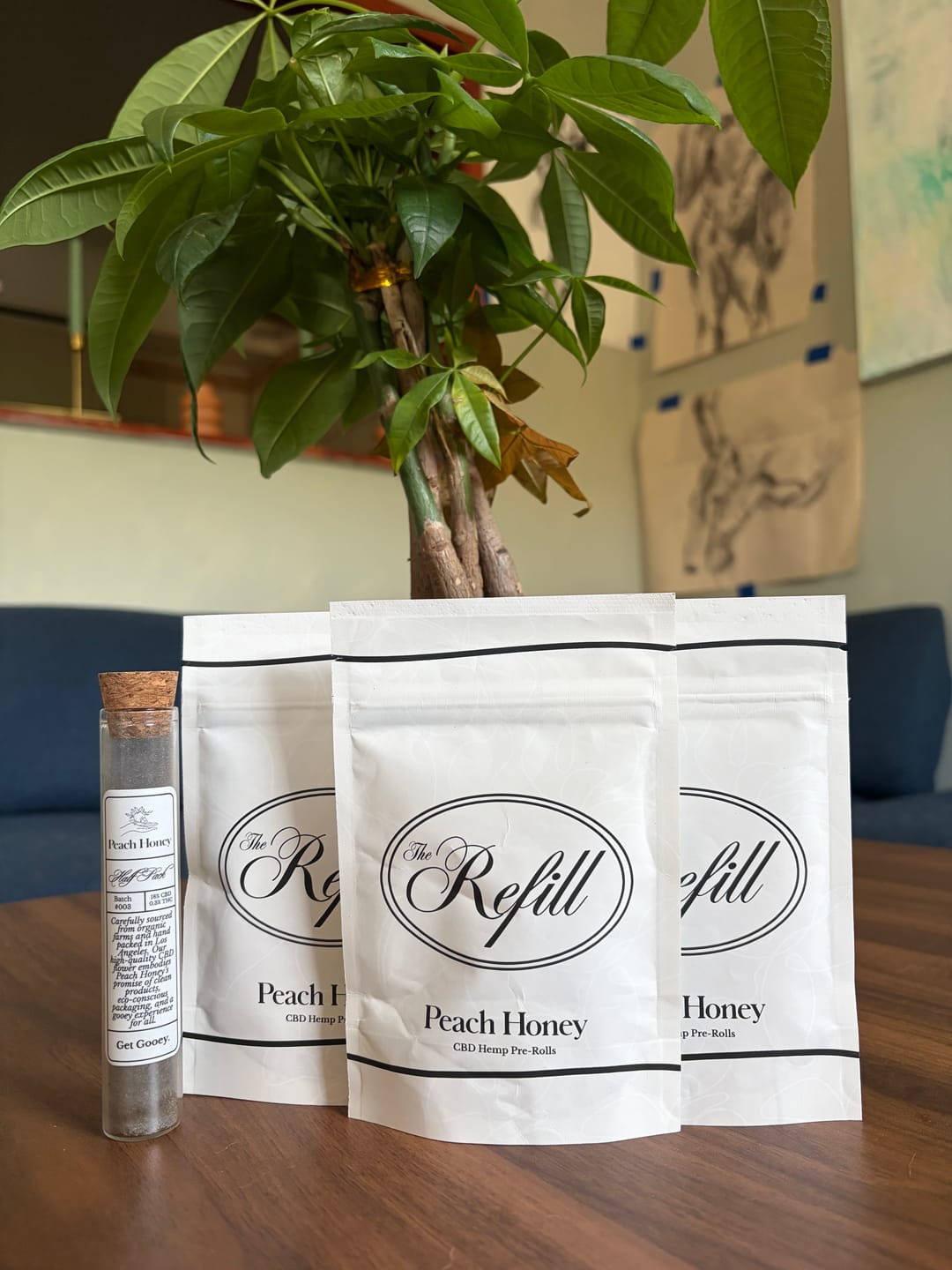 Customer photo review of Refill