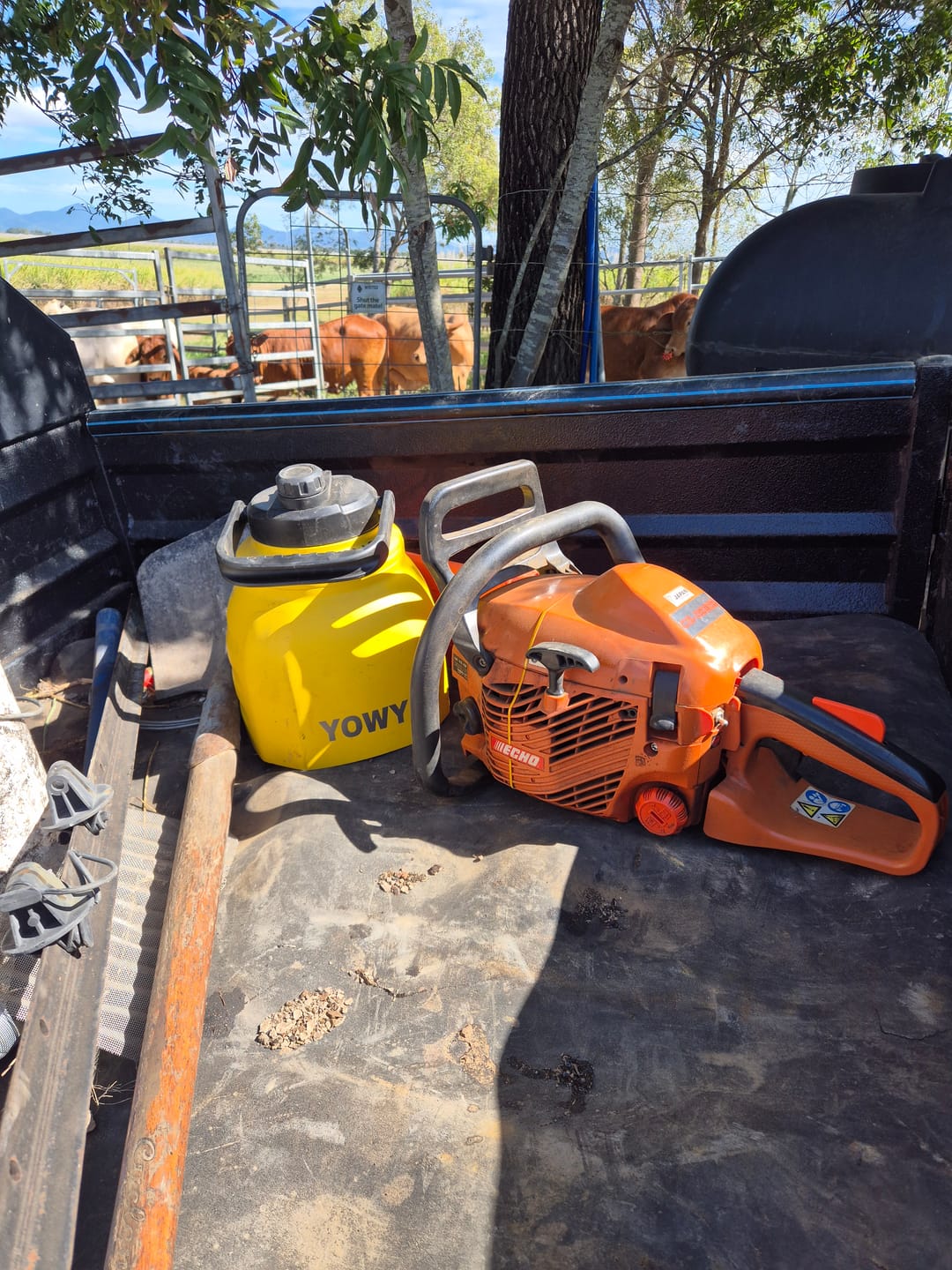 Customer photo review of 3L Yowy Watercan