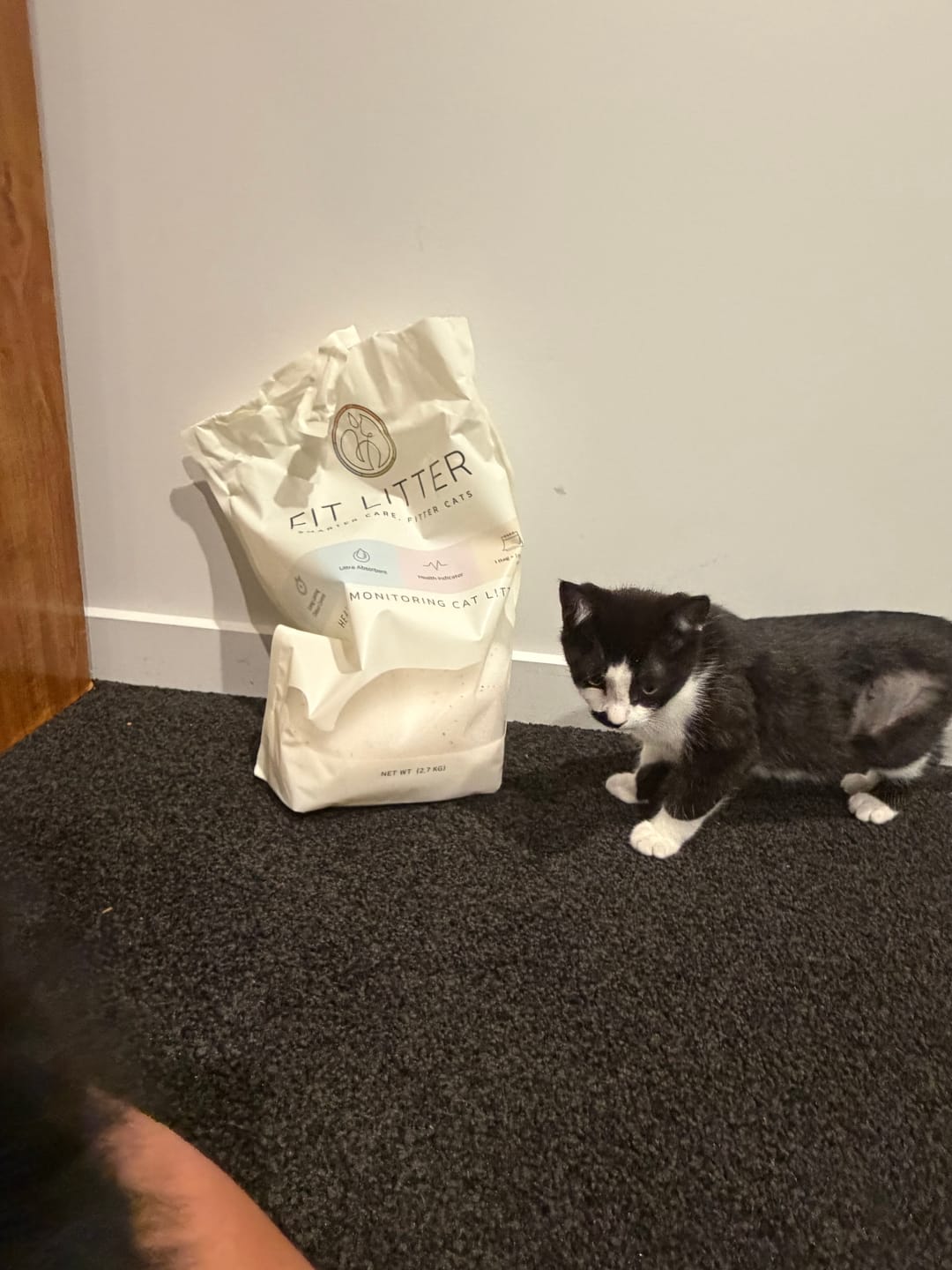Customer photo review of Fit Litter