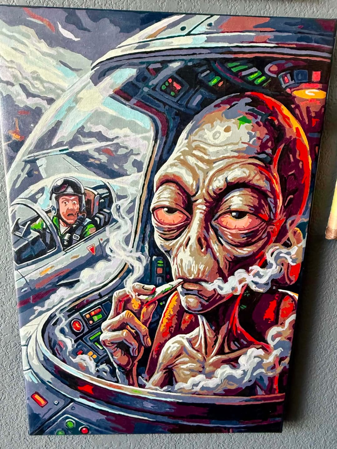 Customer photo review of Stoned Alien Jet Pilot