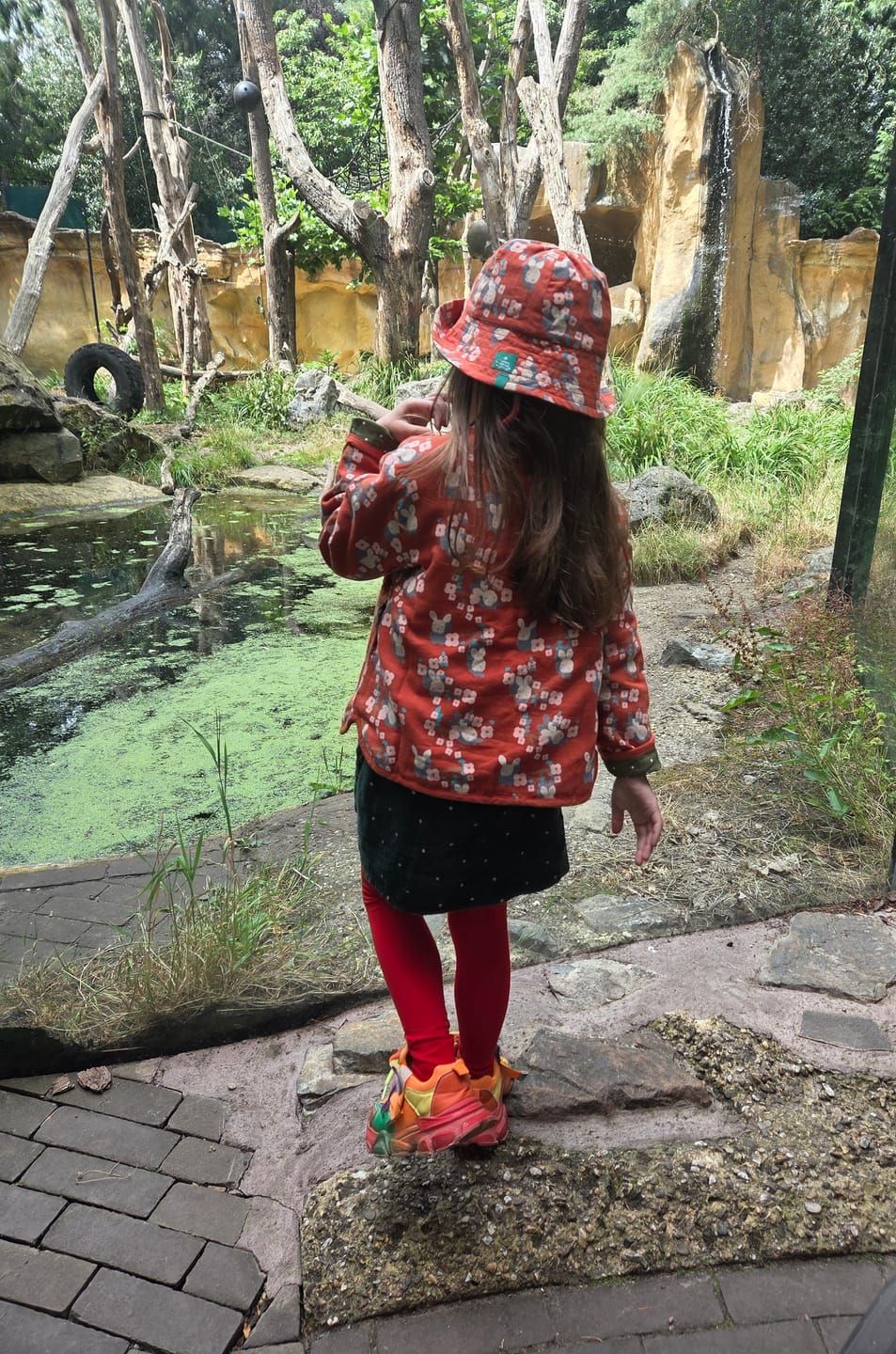 Customer photo review of Little Rabbits Reversible Collarless Spring Jacket