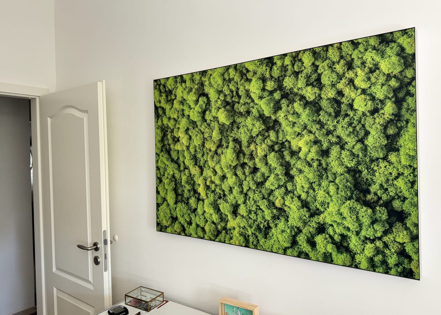 Customer photo review of Akustikbild mit Moos-Motiv