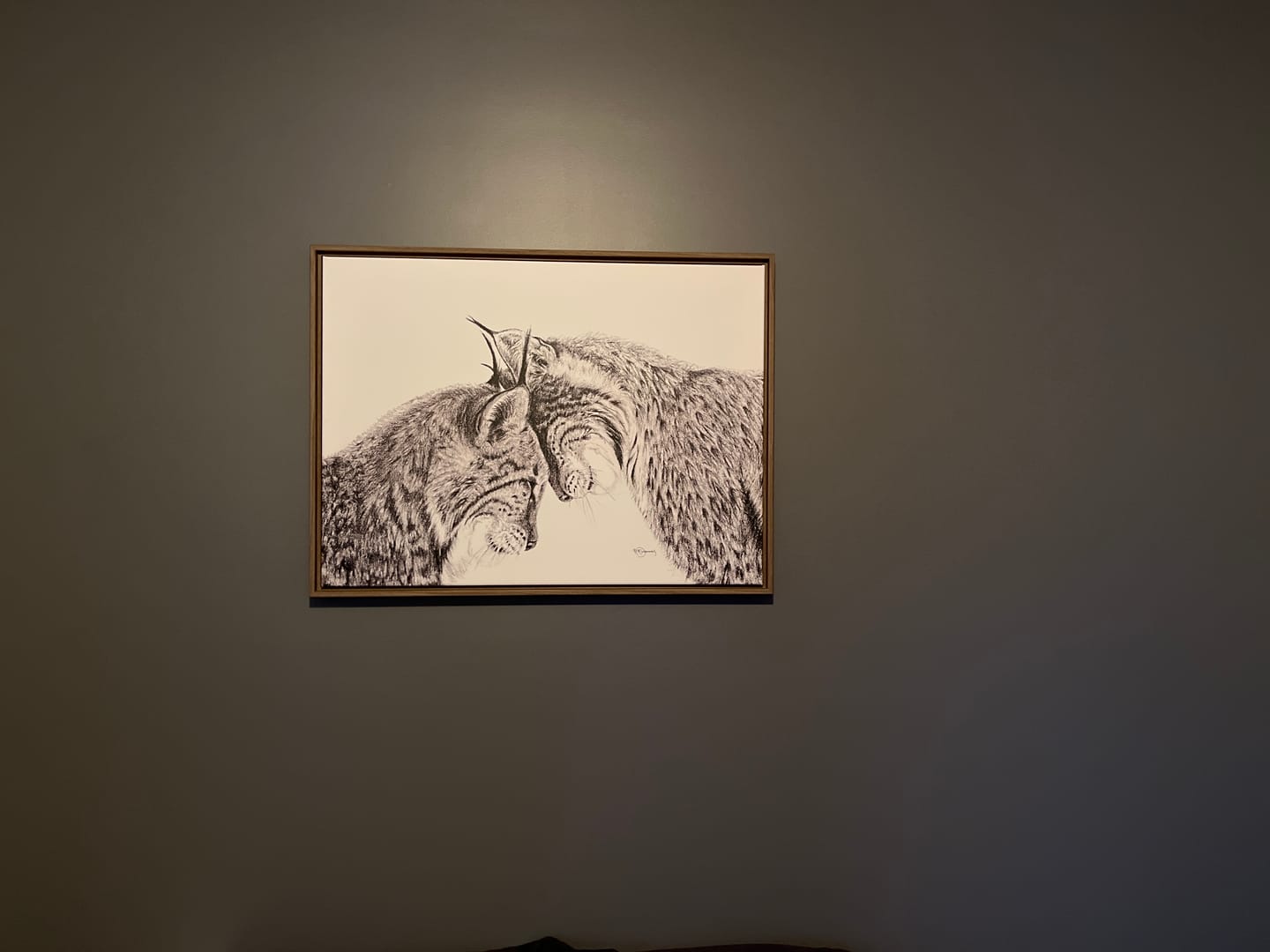 Customer photo review of Lynx in love, canvas print