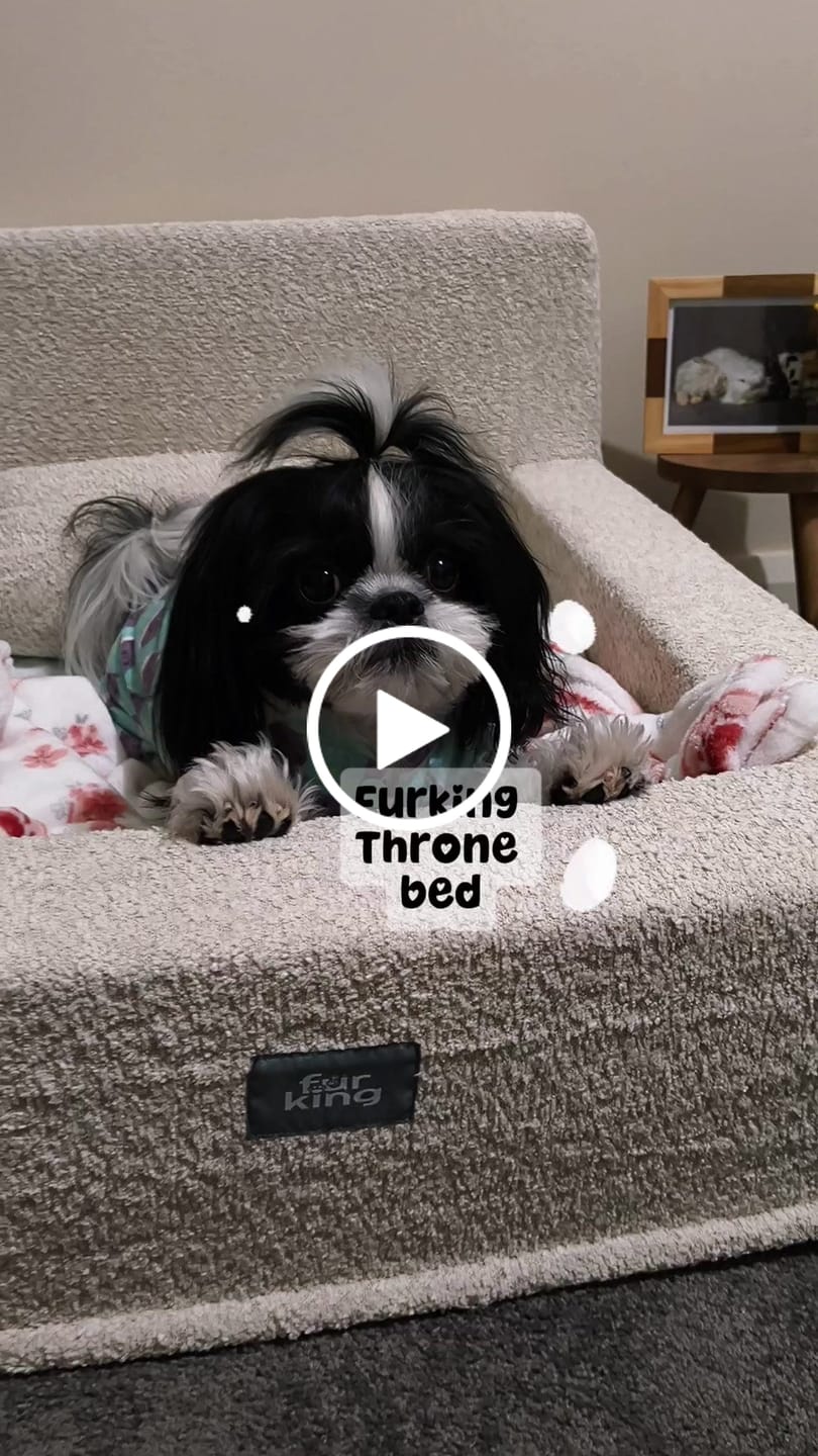 Customer video review of Fur King Throne - Orthopedic Dog Bed