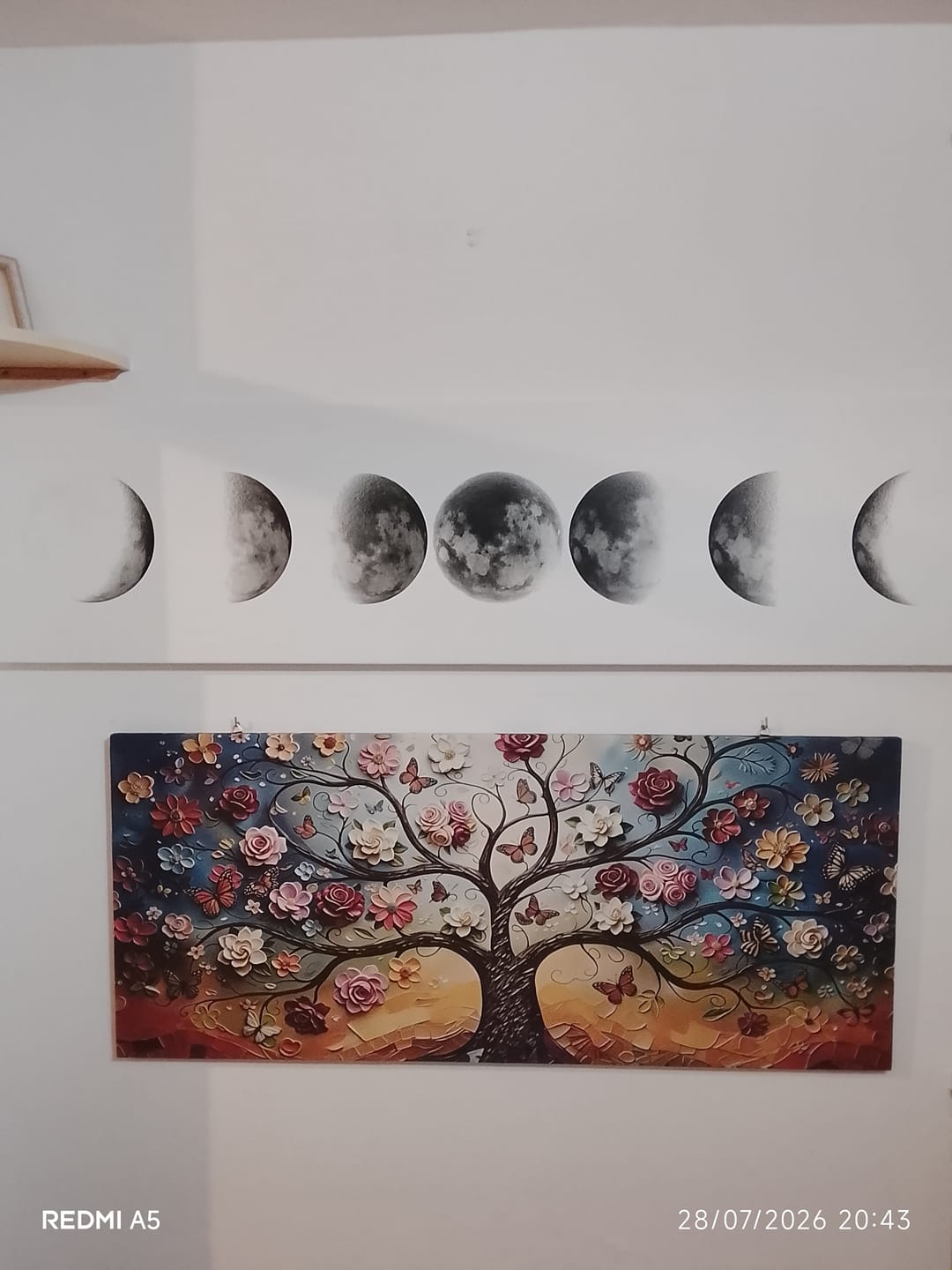 Customer photo review of Fase lunare