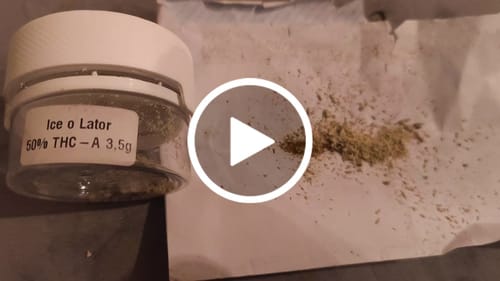 Customer video review of THC-A  50% Hash Ice o Lator