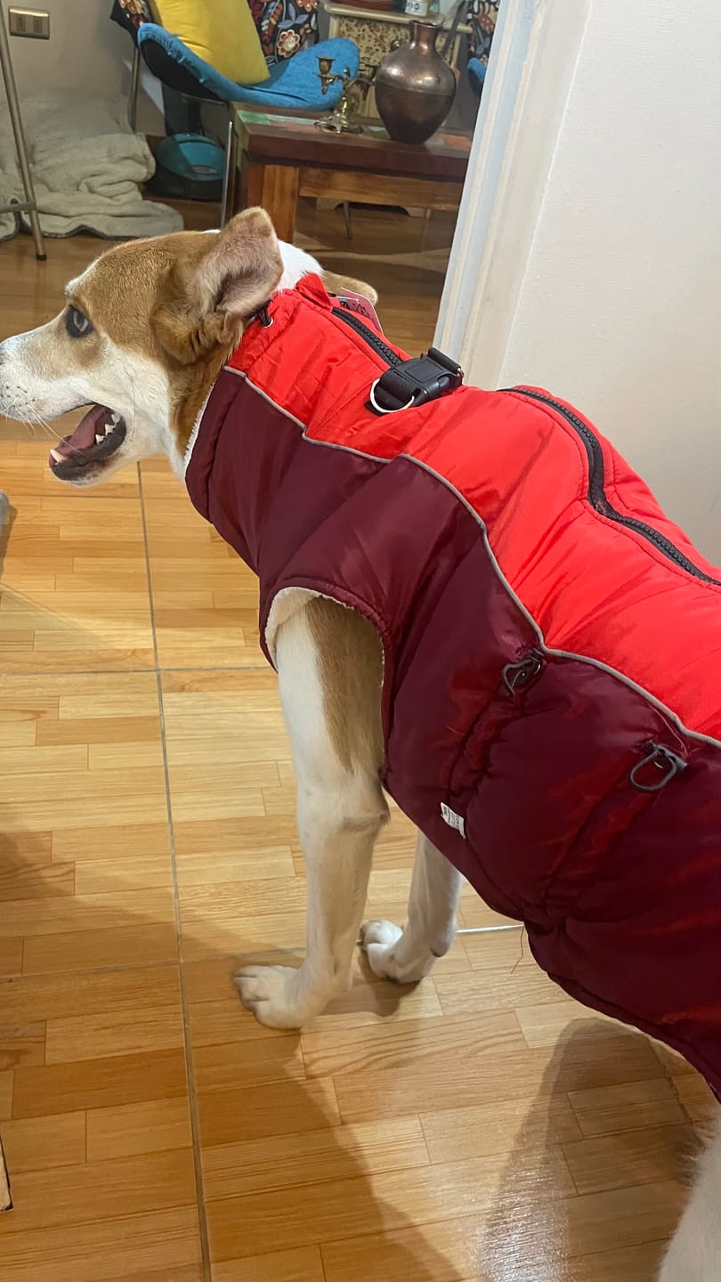 Customer photo review of Parka Daki Trek