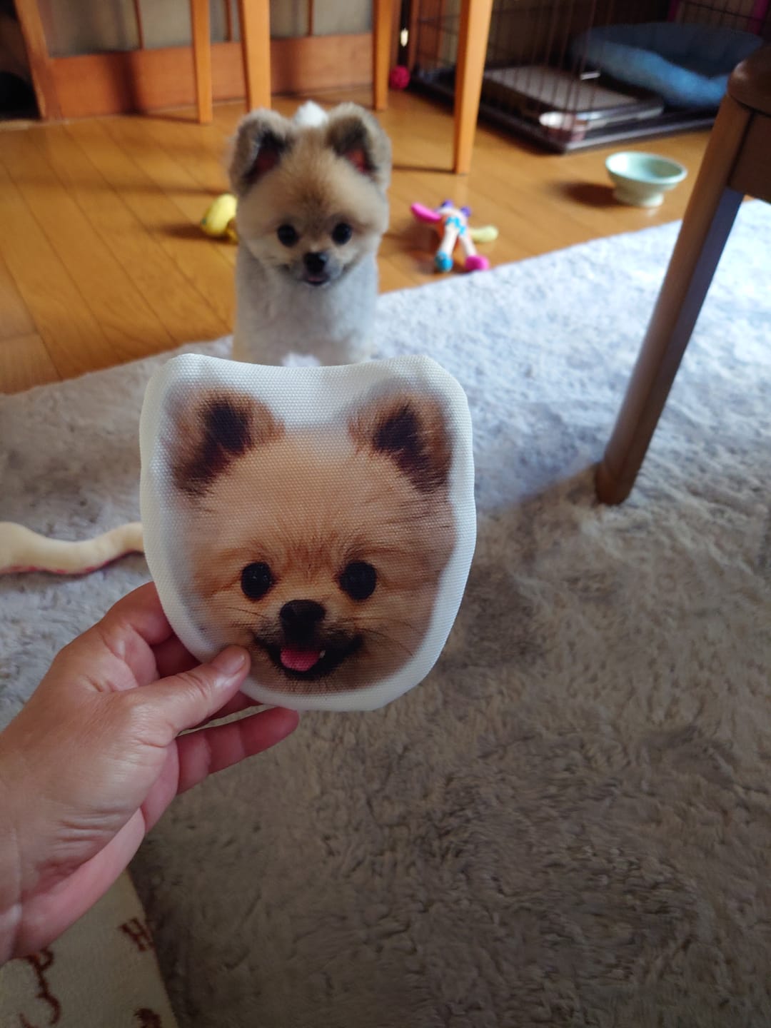 Customer photo review of 本物そっくり♪ペットフェイスバッグ
