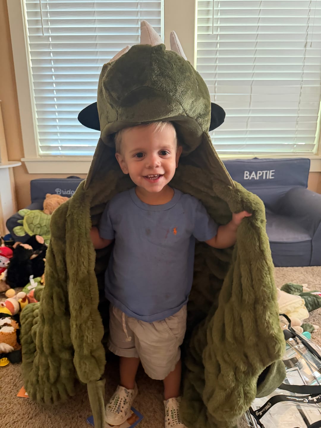 Customer photo review of Huggable Dino