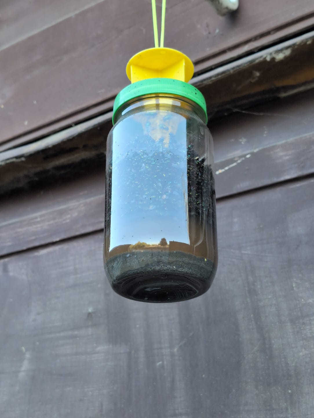 Customer photo review of HorseSafe LiquidTrap – Schluss mit Fliegenstress auf deinem Hof