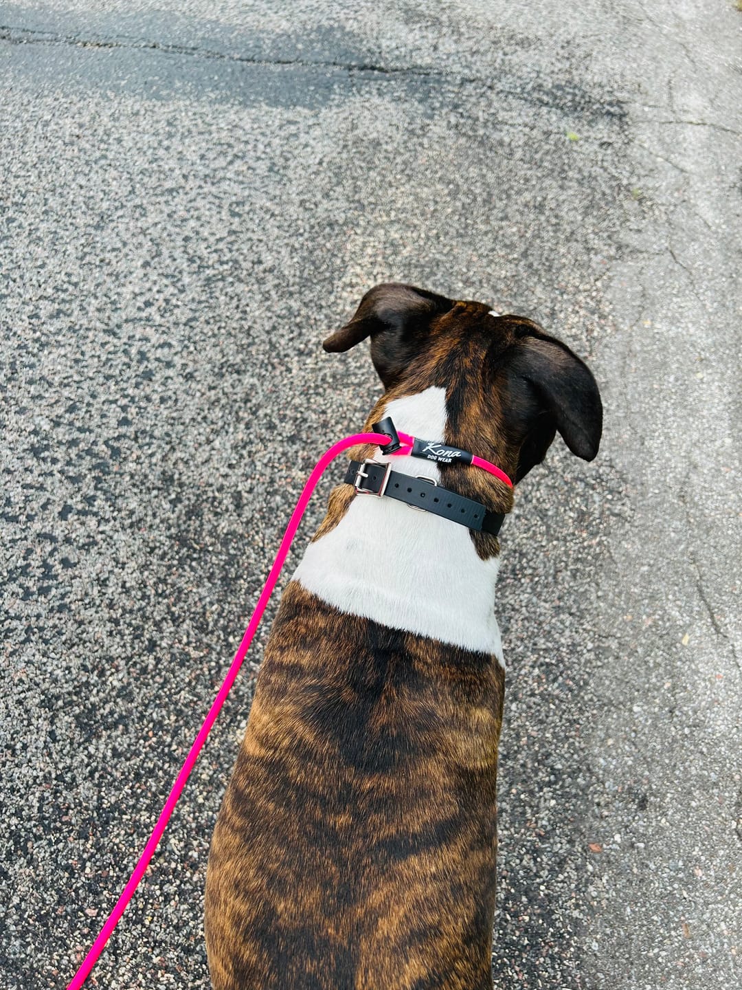 Customer photo review of Training Slip Lead