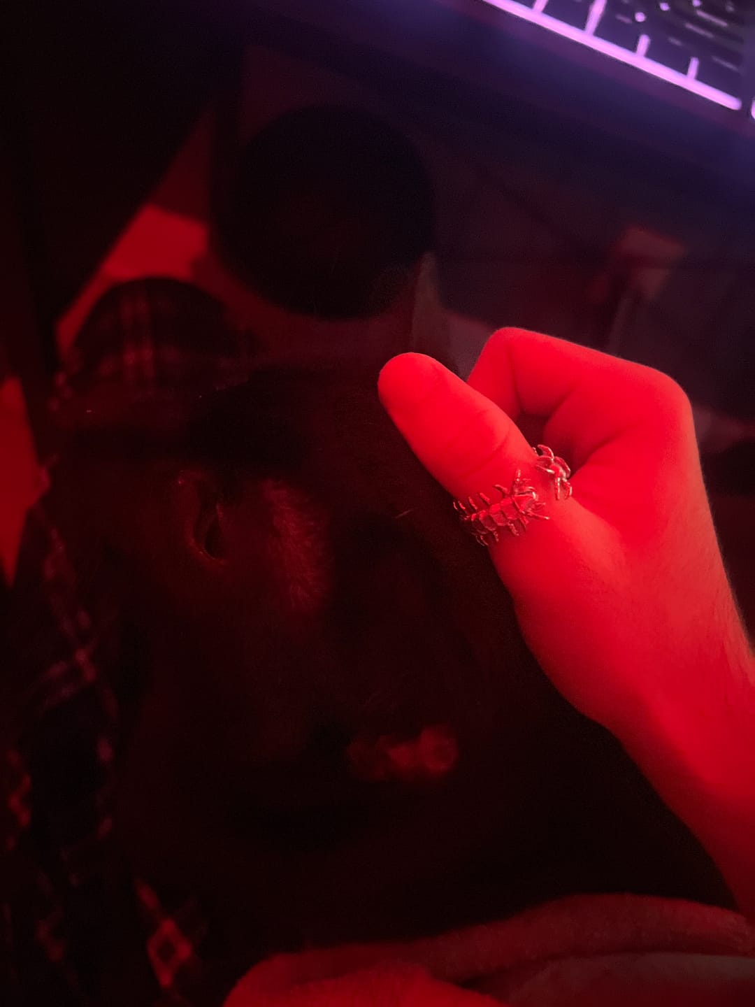 Customer photo review of CENTIPEDE RING