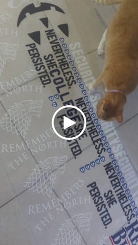Customer video review of DTF Transfers Gangsheet Builder