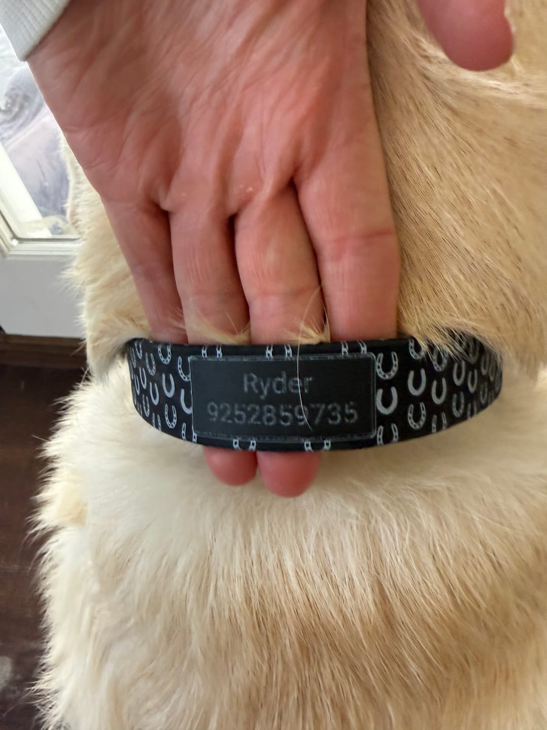 Customer photo review of Horseshoes Black Dog Collar