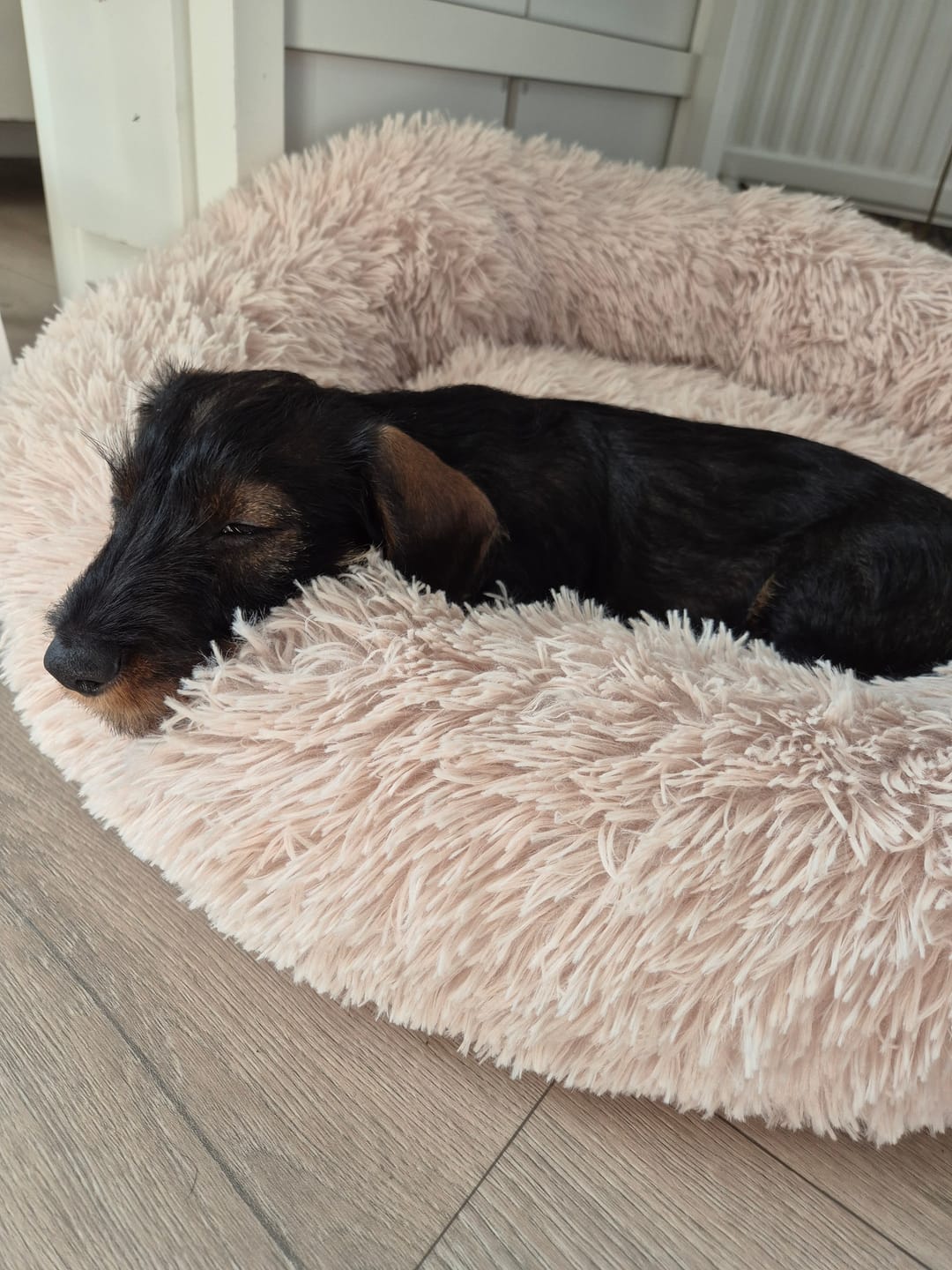 Customer photo review of CalmBed överdrag