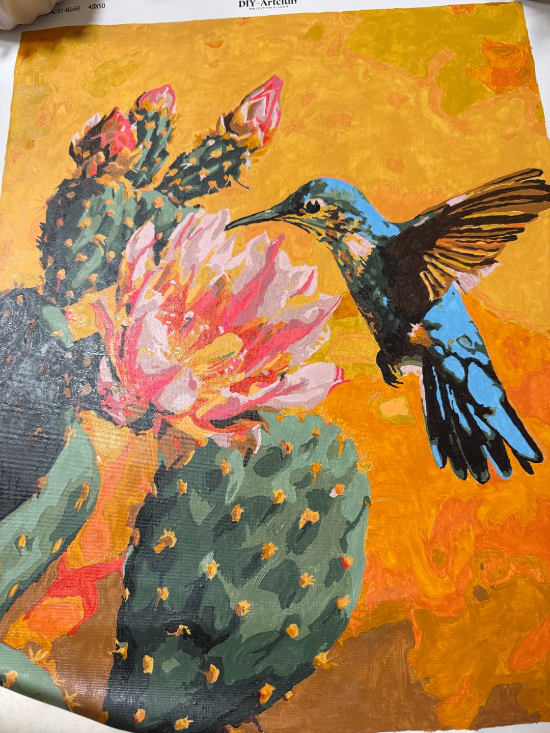 Customer photo review of Mexican Nature | Paint by Number