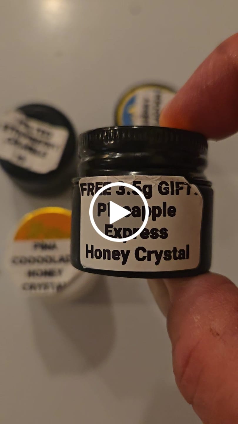Customer video review of 🎁 Welcome Gift