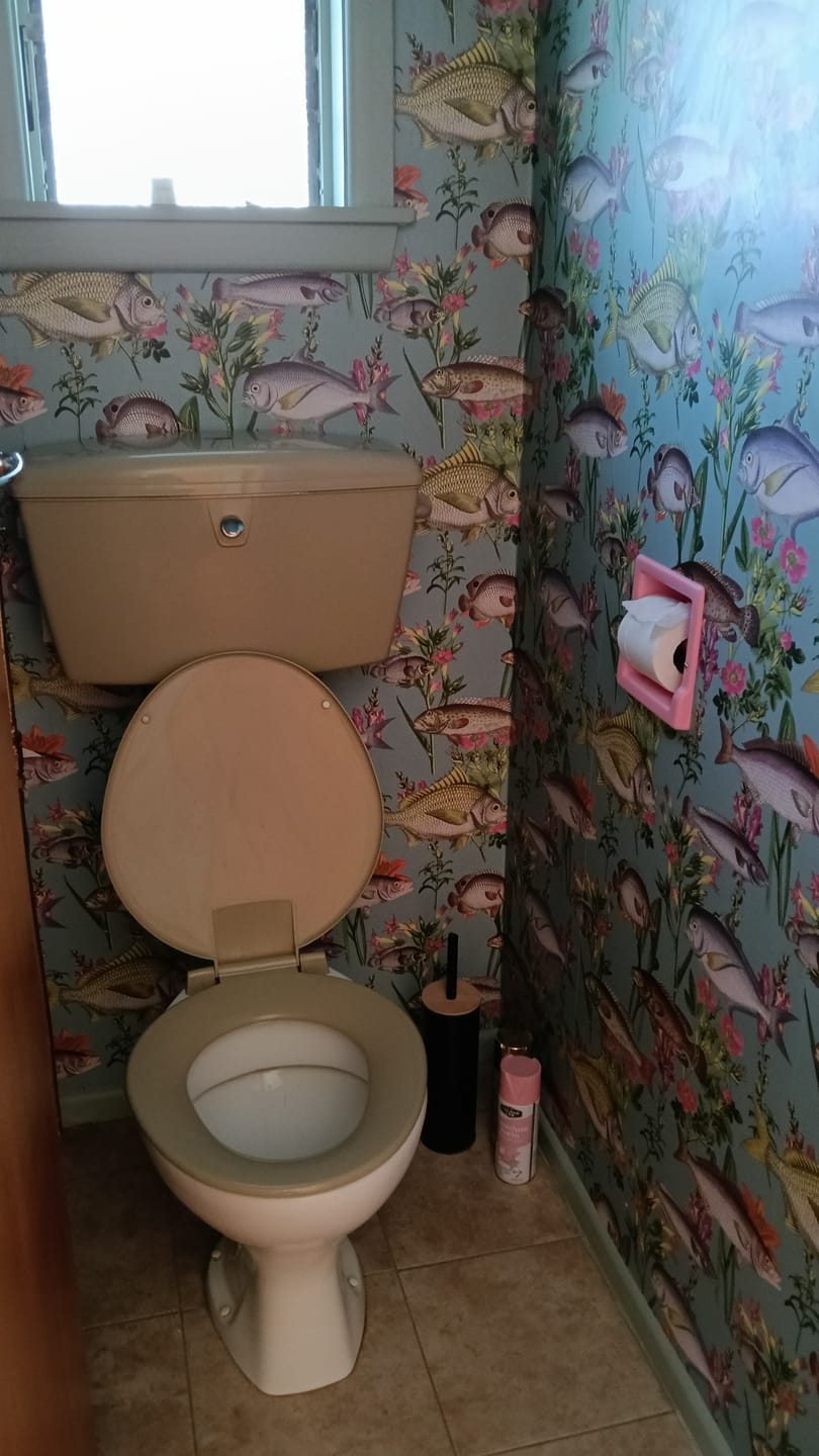 Customer photo review of Lagoon Fish Wallpaper – Teal