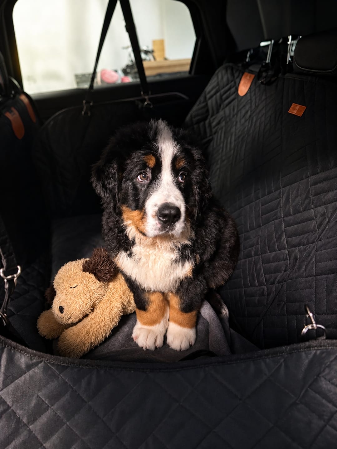 Customer photo review of Companion&Co™ Hard Bottom Car Seat Cover