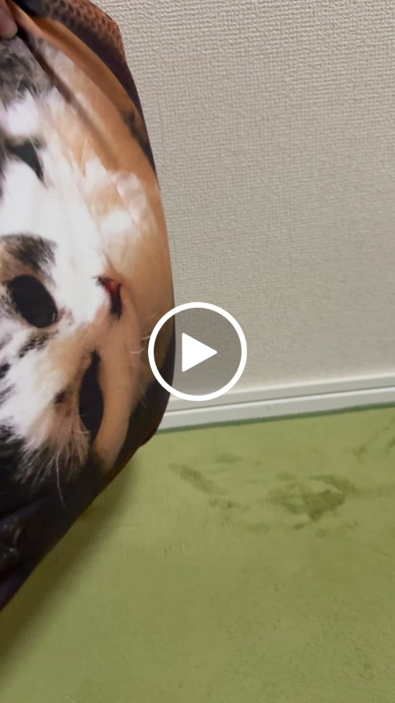 Customer video review of 世界にひとつだけ好きな写真で作るオリジナルクッションカバー