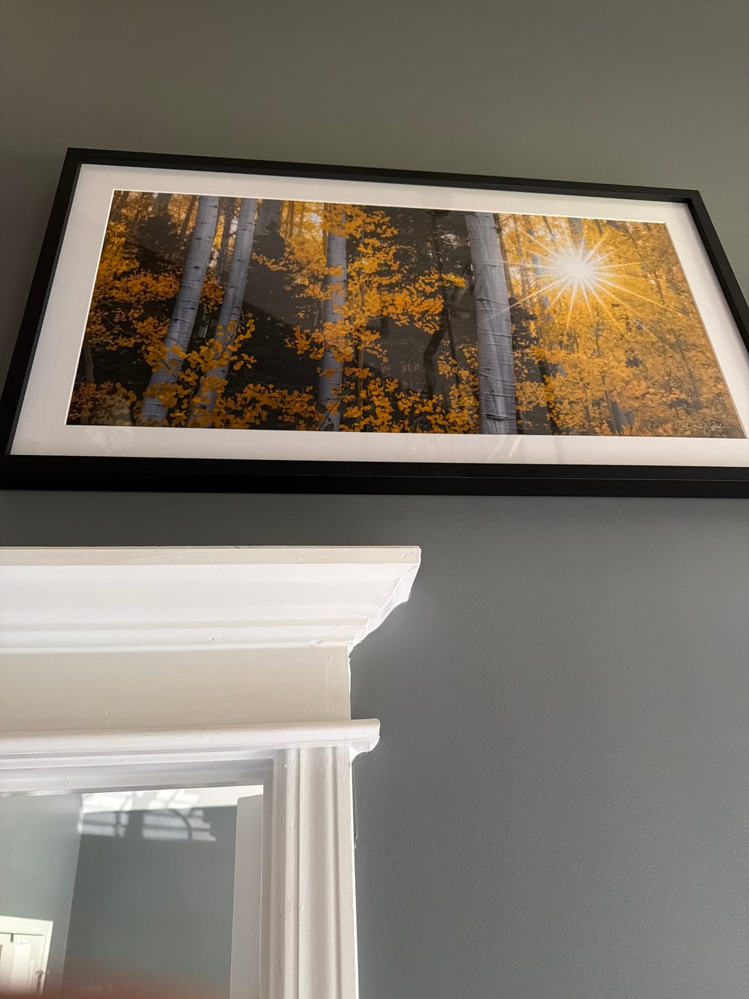 Customer photo review of Starlit Aspens
