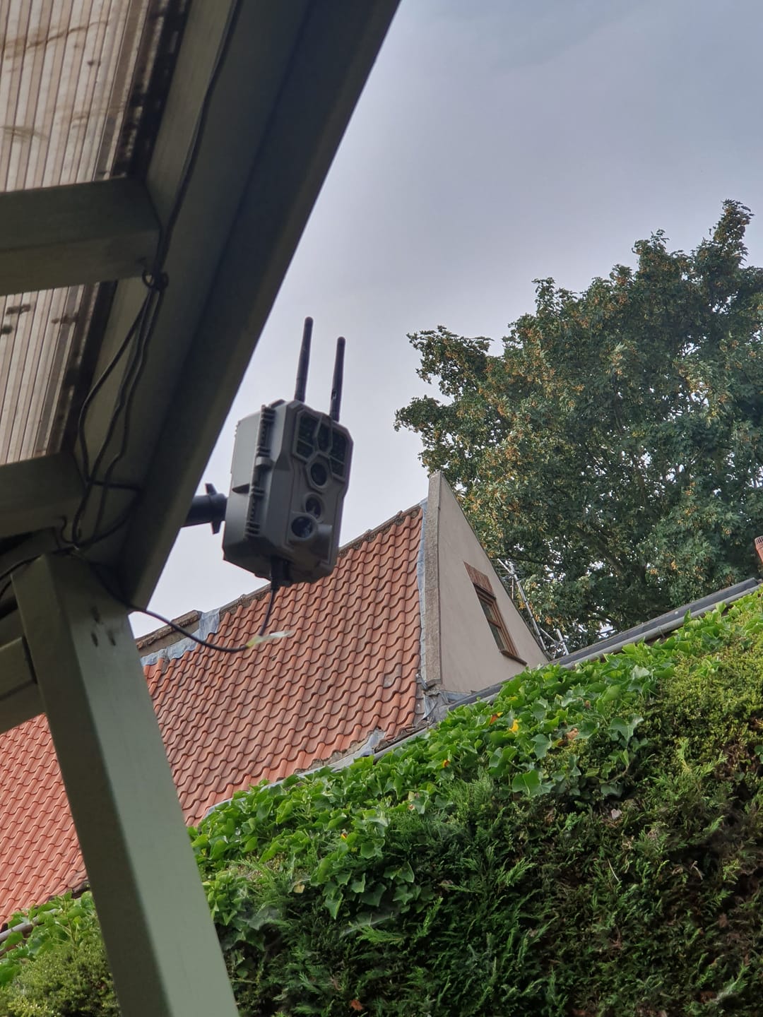 Customer photo review of GardePro E8 2.0 Pro Wi-Fi Trail Camera