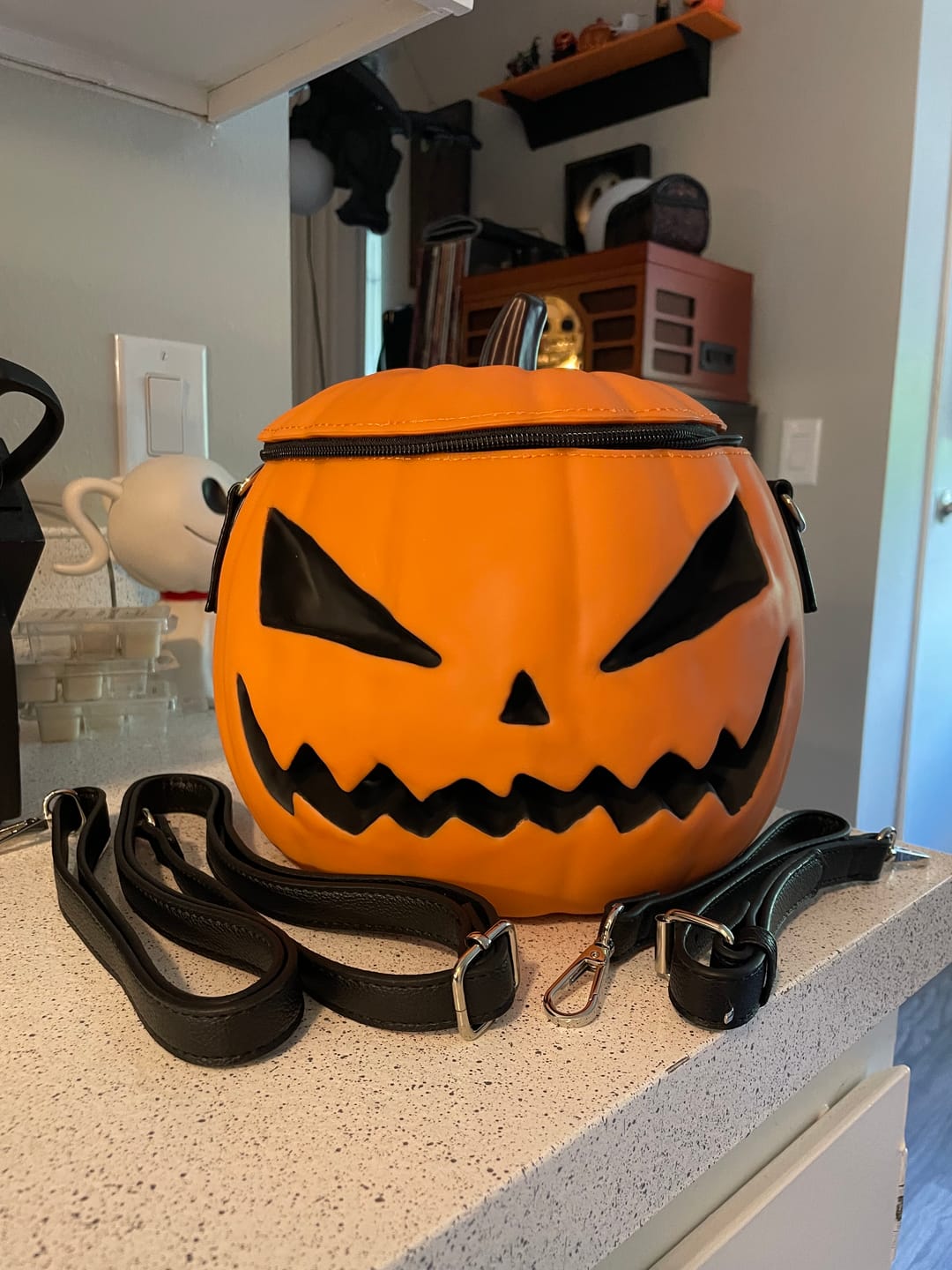 Customer photo review of FINAL SALE - Sleepy Hollow™ Pumpkin Bag