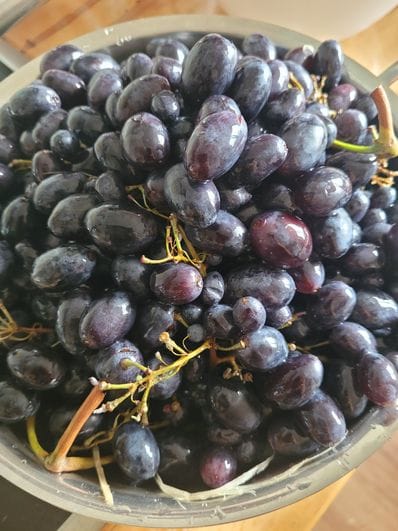 Customer photo review of Trauben Mix mit Kern Bio von Elisa aus Sizilien
