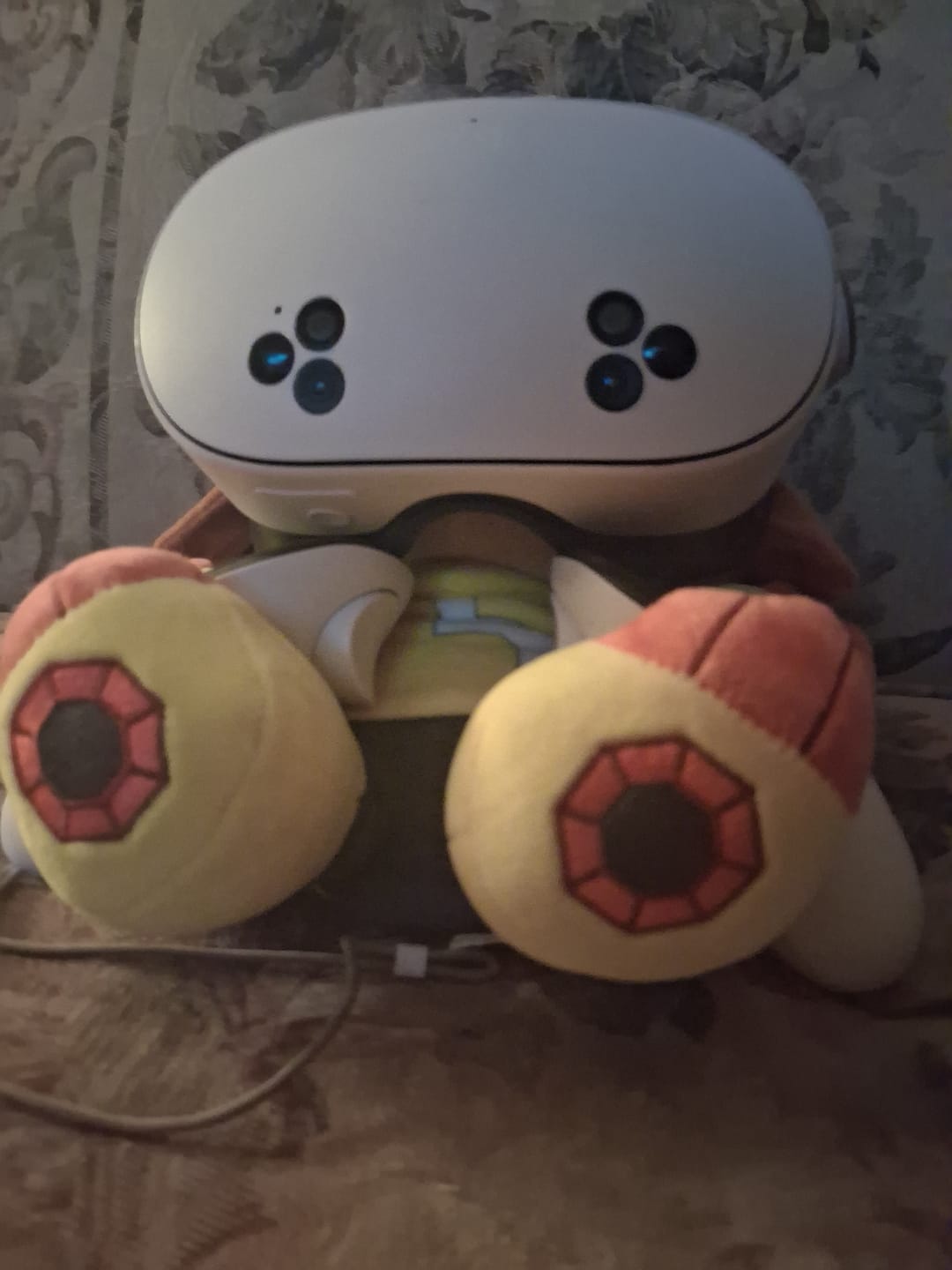 Customer photo review of Kit Plush