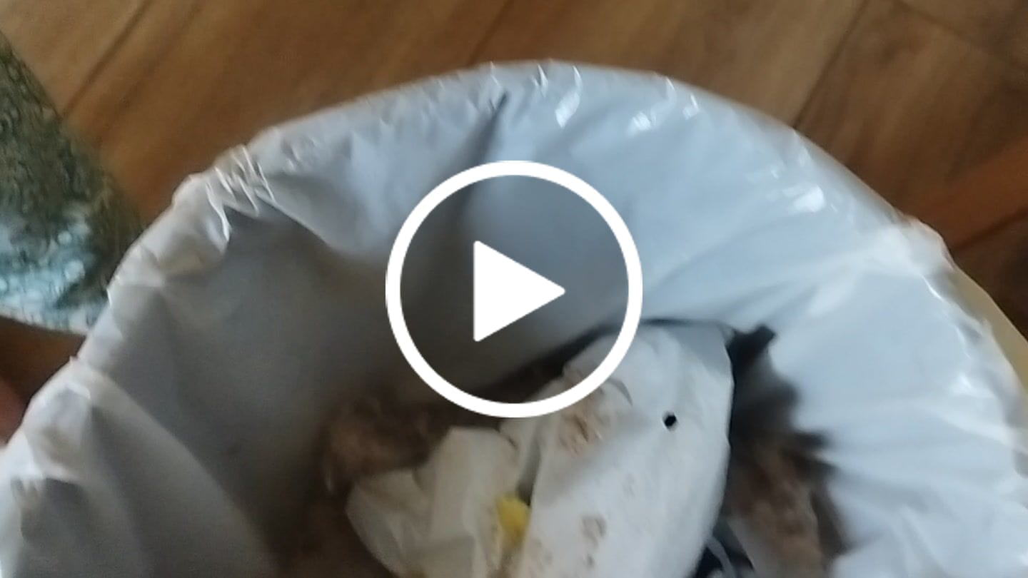 Customer video review of BX7 Pro Max Bed Vacuum Cleaner