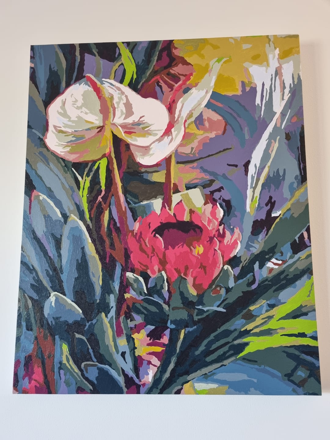 Customer photo review of Anthuriums