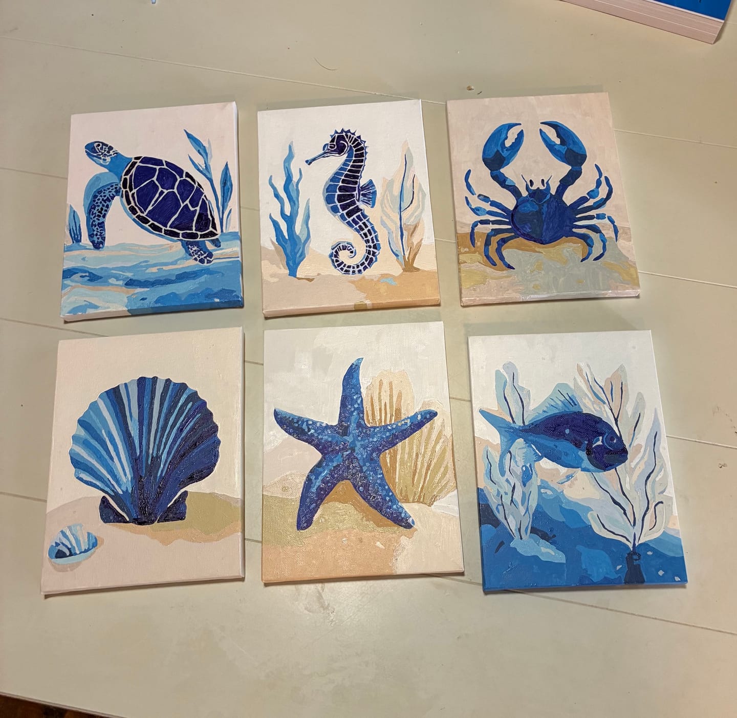 Customer photo review of 6 Mini Paintings - Under The Sea Set