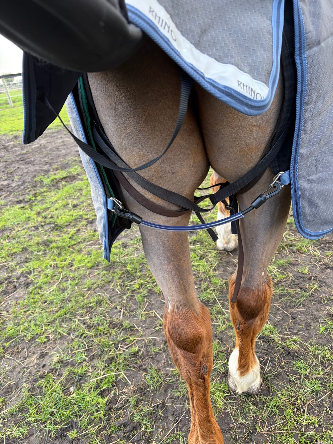Customer photo review of LE Wipe-Clean Tailcord
