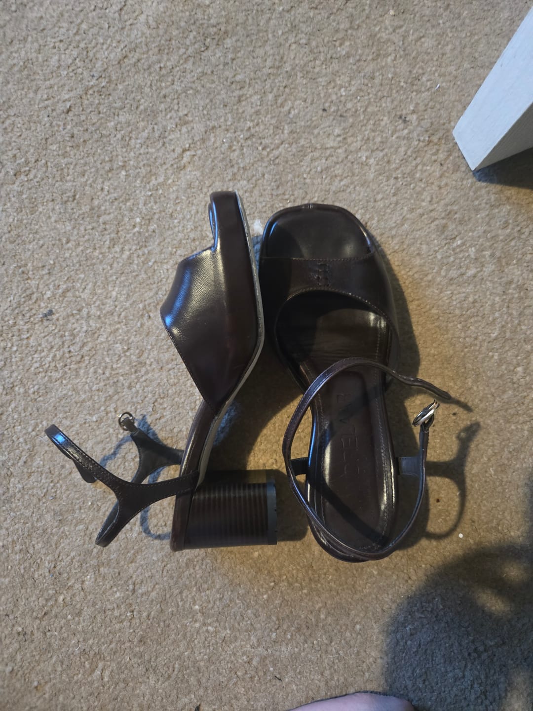 Customer photo review of Joni Sandal, Espresso Leather