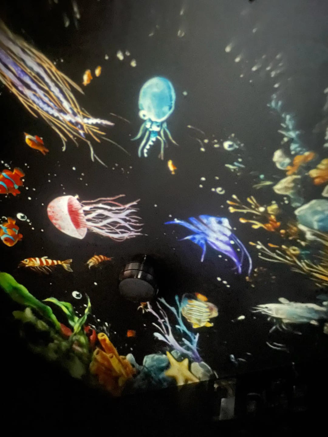 Customer photo review of ZorvTech™ Dream Projector