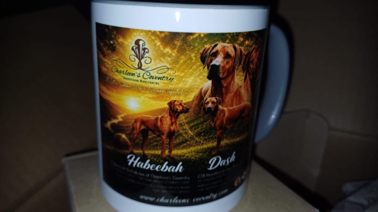 Customer photo review of TassenExpress - Becher Keramik Tasse mit Logo bedruckt 325ml Firmenlogo