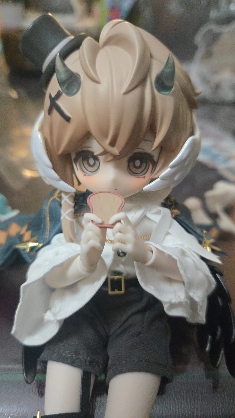 Customer photo review of Light and Shadow Lightwing Academy Series 1/8 BJD Limited Action Figure【Shipped in May./Jun. 2026】