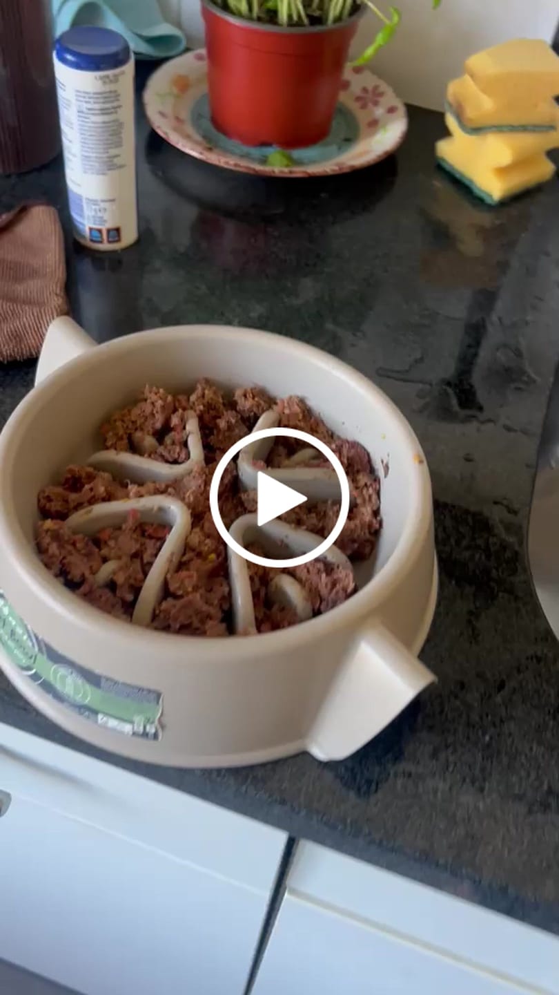 Customer video review of Frischfutter für Energiebedarf von 576 kCal/Tag