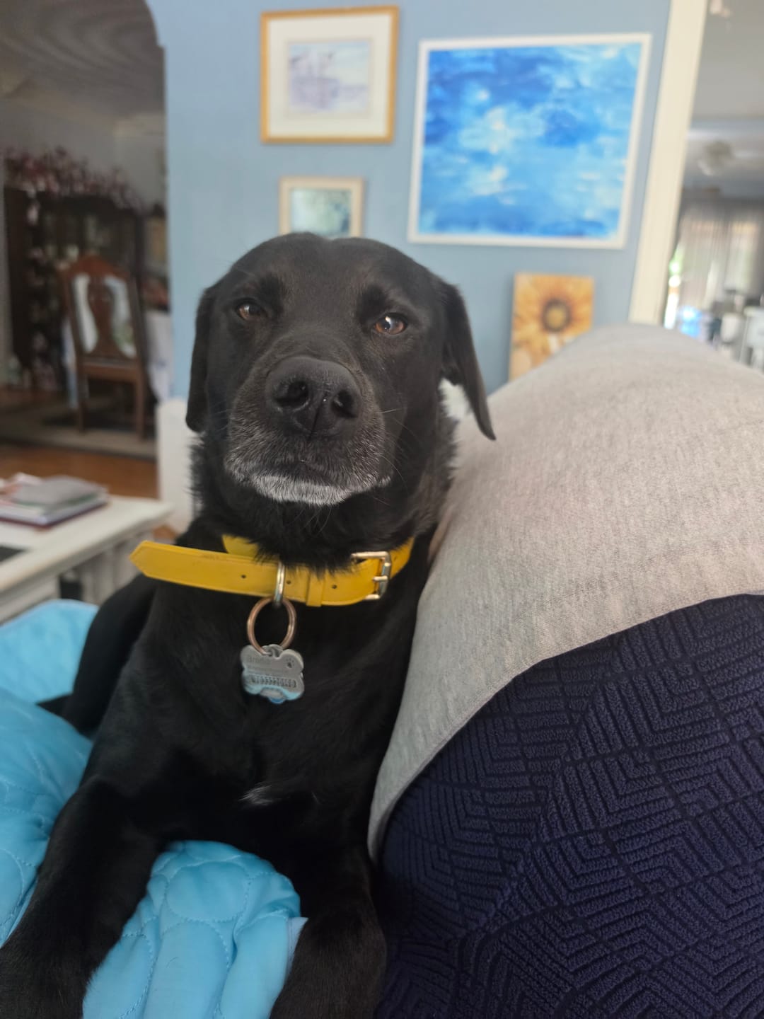 Customer photo review of Hollow-carved Dog ID Tags